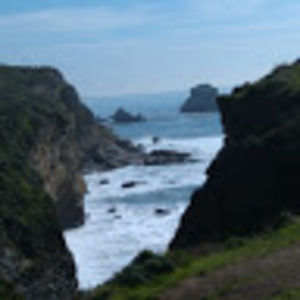 Meet your Posher, Lee